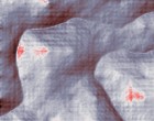 biancheria intimo