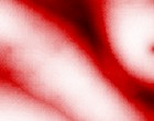 biancheria intima donna